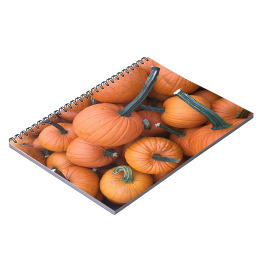 Pumpkin Pile! Notizblock (Linke Seite)