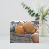Pumpkin Pile Postkarte (Stehend Vorderseite)