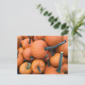 Pumpkin Pile! Postkarte (Stehend Vorderseite)