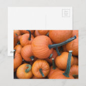 Pumpkin Pile! Postkarte (Vorne/Hinten)