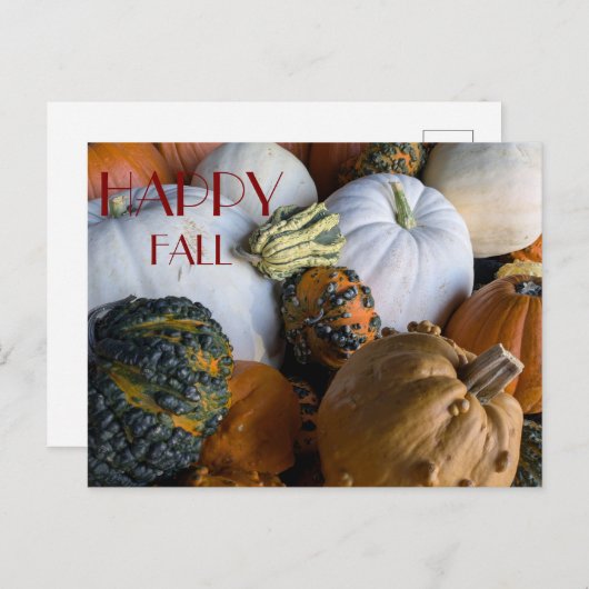 Pumpkin Postcard Postkarte (Vorne/Hinten)