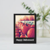 Pumpkin Postcard Postkarte (Stehend Vorderseite)