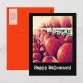 Pumpkin Postcard Postkarte (Vorne/Hinten)