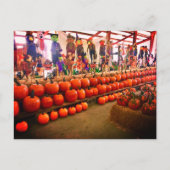 Pumpkin Postcard Postkarte (Vorderseite)