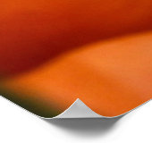 PUMPKIN POSTER (Ecke)