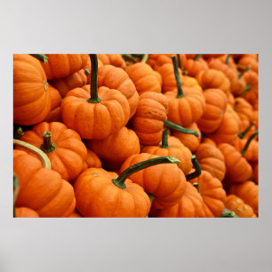 PUMPKIN POSTER