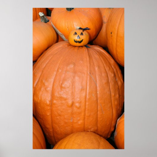 Pumpkin Poster (Vorne)