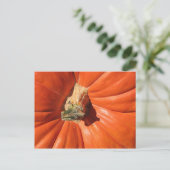 Pumpkin Postkarte (Stehend Vorderseite)