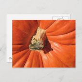 Pumpkin Postkarte (Vorne/Hinten)
