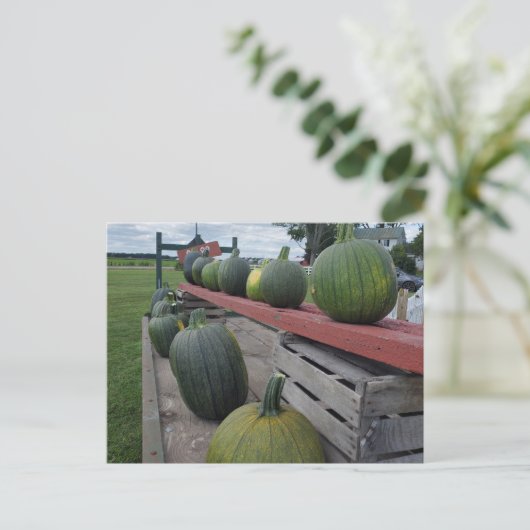 Pumpkin Postkarte (Stehend Vorderseite)