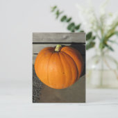 Pumpkin Postkarte (Stehend Vorderseite)