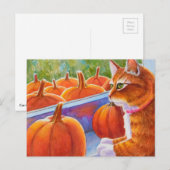 Pumpkin, Pumpkin Cat Postkarte (Vorne/Hinten)