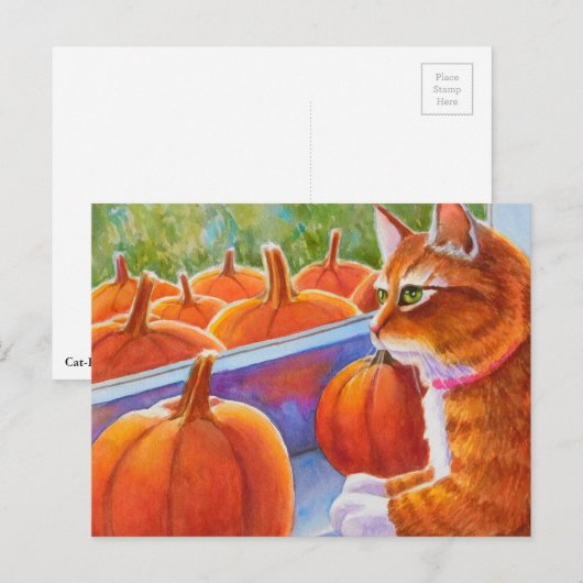 Pumpkin, Pumpkin Cat Postkarte (Vorne/Hinten)