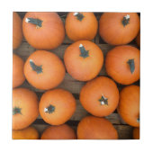 Pumpkin Rows Fliese (Vorderseite)