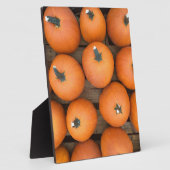 Pumpkin Rows Fotoplatte (Seite)