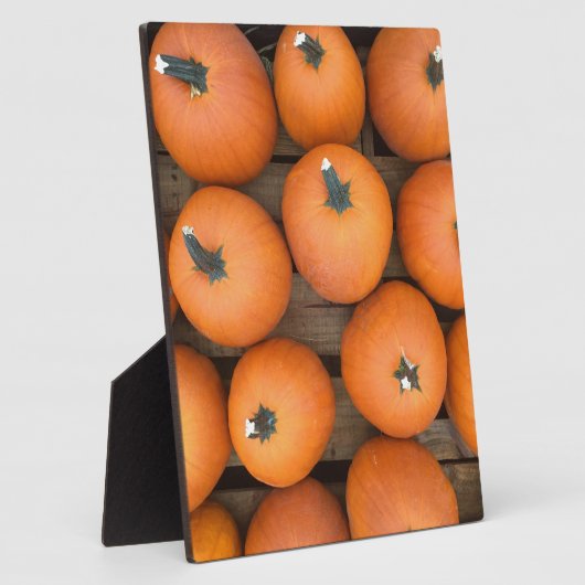 Pumpkin Rows Fotoplatte (Seite)