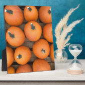 Pumpkin Rows Fotoplatte (Seite)