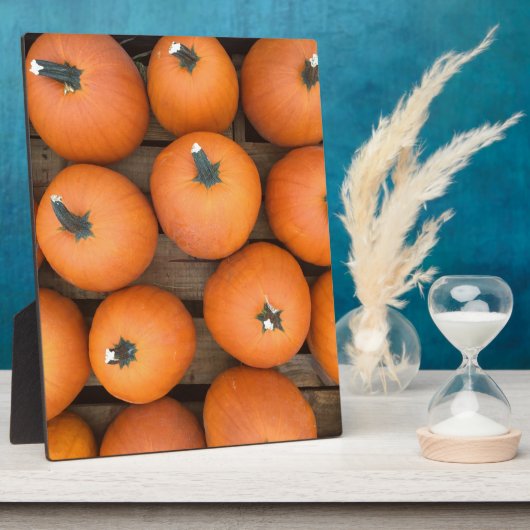 Pumpkin Rows Fotoplatte (Seite)