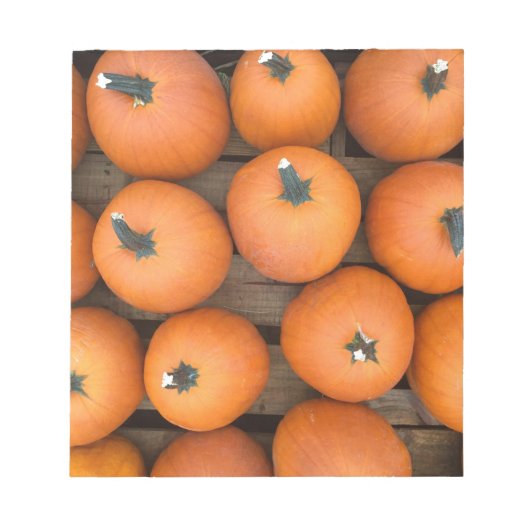 Pumpkin Rows Notizblock (Vorderseite)