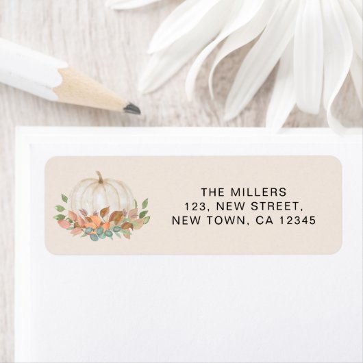 Pumpkin-Rücksendeadresse (Insitu)