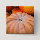 Pumpkin-Saison Button (Vorderseite)