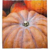 Pumpkin-Saison Duschvorhang (Vorderseite)