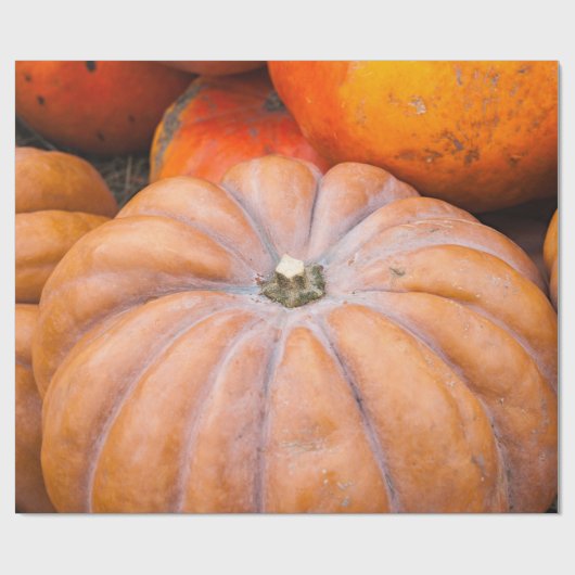 Pumpkin-Saison Geschenkpapier (Flach)