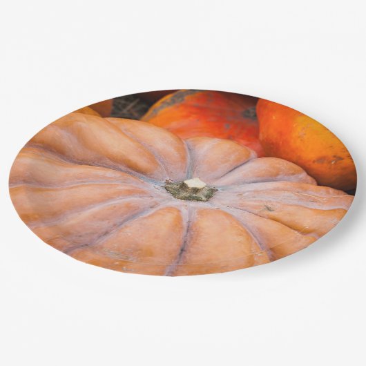 Pumpkin-Saison Pappteller (Schrägansicht)