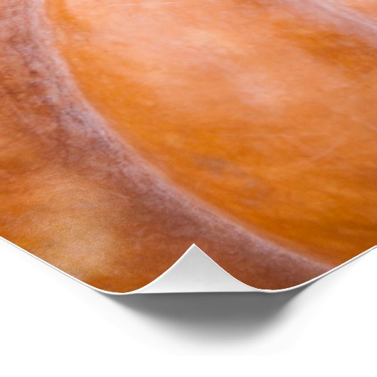 Pumpkin-Saison Poster (Ecke)
