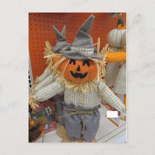 Pumpkin Scarecrow Postkarte (Vorderseite)