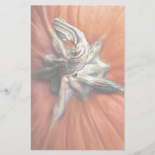 Pumpkin Spiral Briefpapier