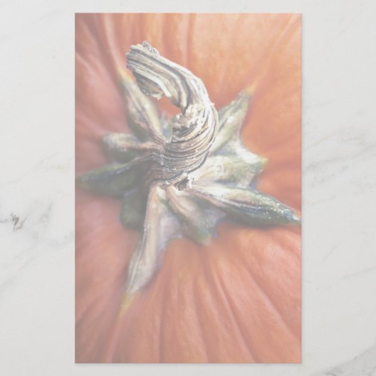 Pumpkin Spiral Briefpapier (Vorderseite)