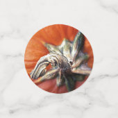 Pumpkin Spiral Konfetti (Klein Vorderseite)