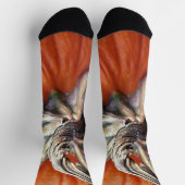 Pumpkin Spiral Socken (Oben)