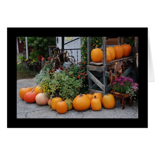 Pumpkin Stand (Vorderseite (Horizontal))