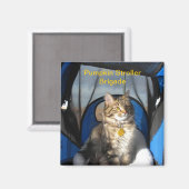 Pumpkin Stroller Brigade Magnet (Vorderseite/Rückseite)