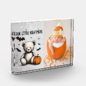 Pumpkin Teddy Fotoblock (Links)