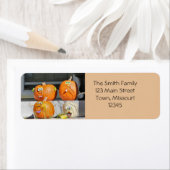 Pumpkin-Typ (Insitu)