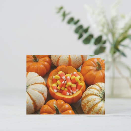 Pumpkin und Candy Corn Postkarte (Stehend Vorderseite)