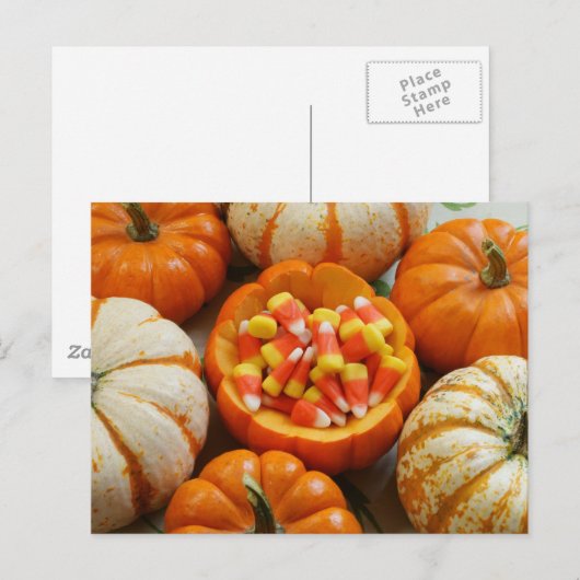 Pumpkin und Candy Corn Postkarte (Vorne/Hinten)