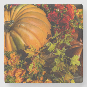 Pumpkin- und Mum-Anordnung Steinuntersetzer