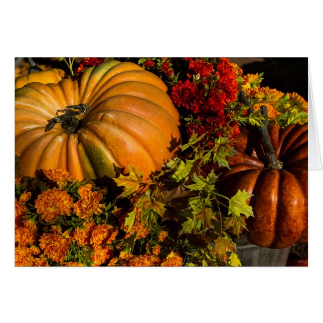 Pumpkin- und Mum-Arrangement (Vorderseite (Horizontal))