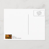 Pumpkin- und Mum-Arrangement Postkarte (Rückseite)