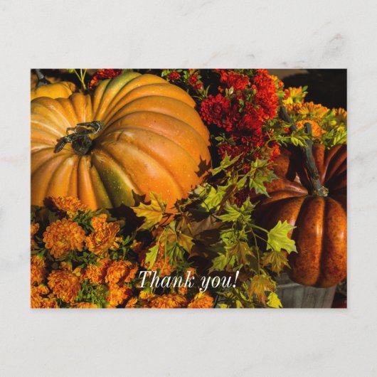 Pumpkin- und Mum-Arrangement Postkarte (Vorderseite)