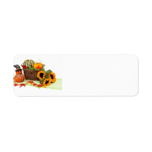 Pumpkin und Sonnenblumen (Vorne)