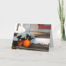 Pumpkin und White Mums - Martha's Vineyard