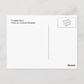 Pumpkin Vase Postkarte (Rückseite)