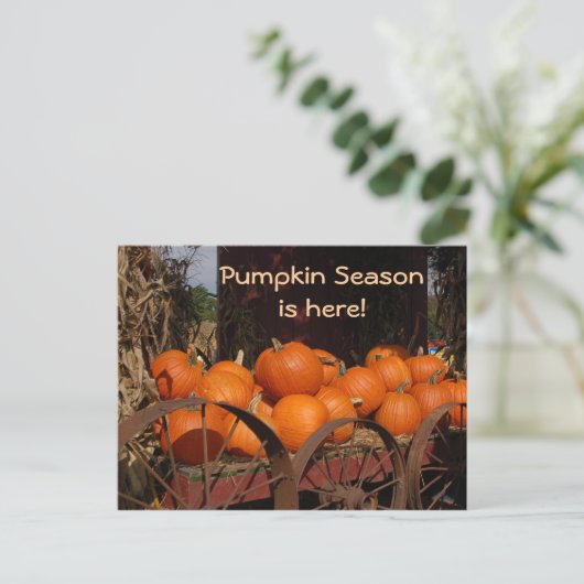 Pumpkin Wagon Foto Postcard Postkarte (Stehend Vorderseite)