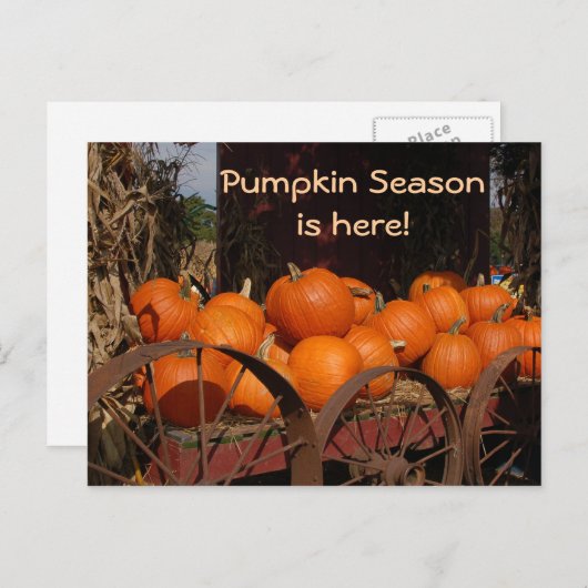 Pumpkin Wagon Foto Postcard Postkarte (Vorne/Hinten)
