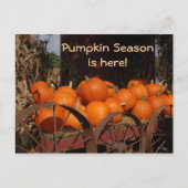 Pumpkin Wagon Foto Postcard Postkarte (Vorderseite)